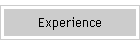 Experience